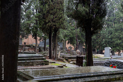 Graveyard. Cemenetery. Gray and white graves next to some pine trees. Terrifying concept. Scary place. Madrid, in Spain, Photography.