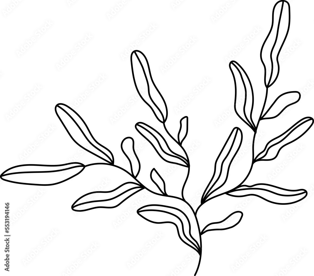 Obraz premium Abstract line simple branch. Botanical outline vector illustration.
