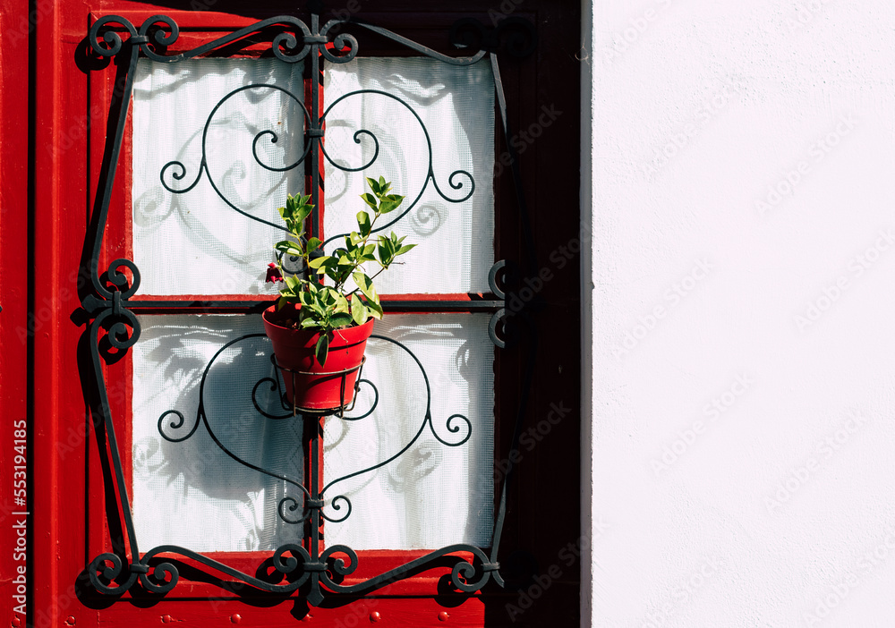 Door with plant Door with plant