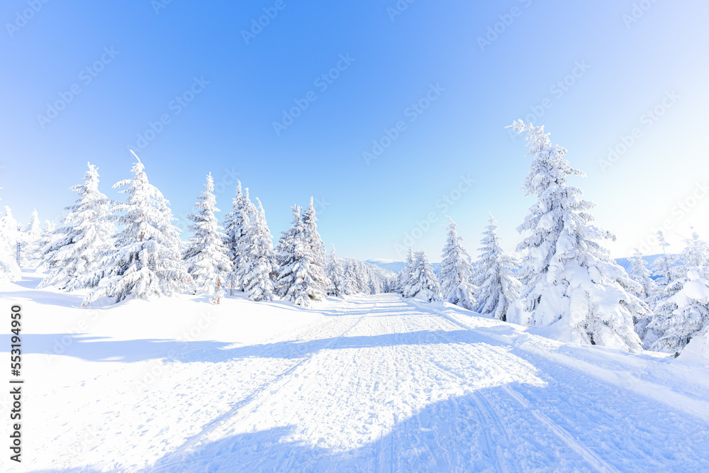 Snow-covered trees in the mountains. Nature in winter. Winter pastime. Winter landscape.