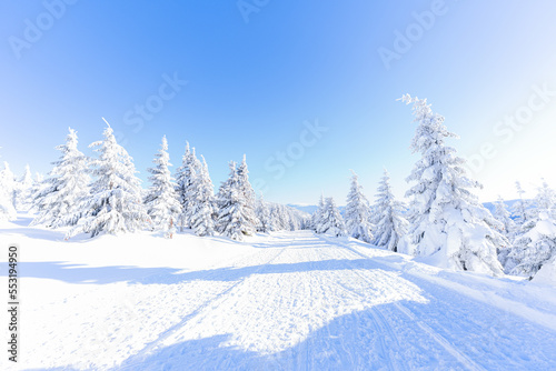 Snow-covered trees in the mountains. Nature in winter. Winter pastime. Winter landscape.