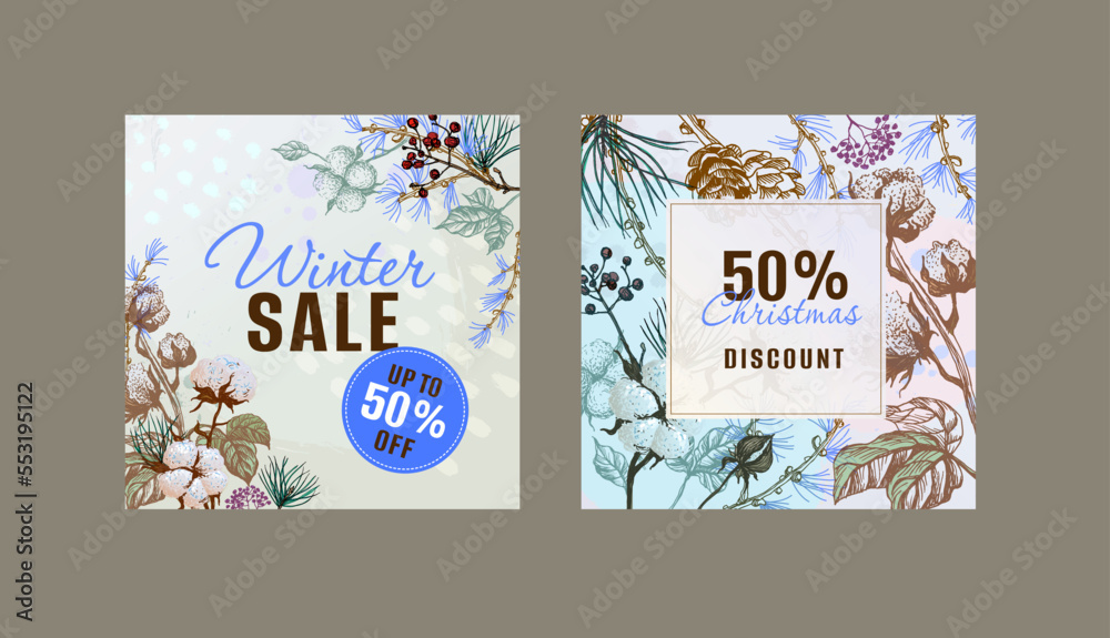 Set of winter sale stories banner templates. Winter snow design for new stories and promo posts. Winter design with winter plants.