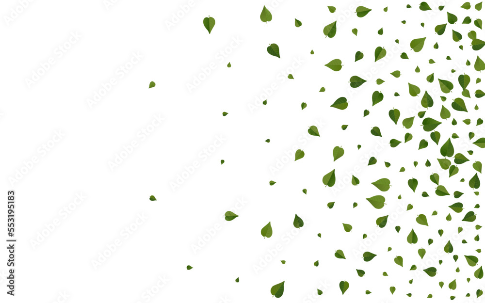 Green Leaf Realistic Vector White Background