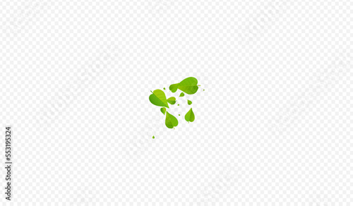 Lime Foliage Ecology Vector Transparent