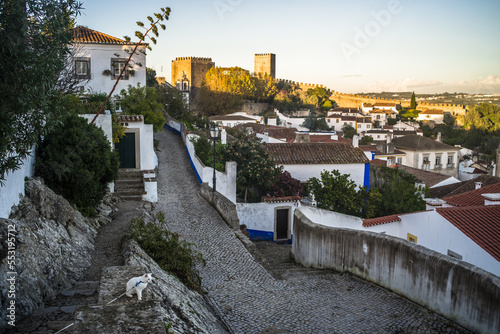 Narrow cobblestone streets, historic white houses covered with ceramic tiles, townhouses and the castle of the town of Obidos.