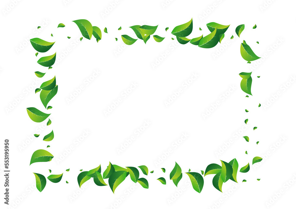 Forest Foliage Flying Vector White Background.