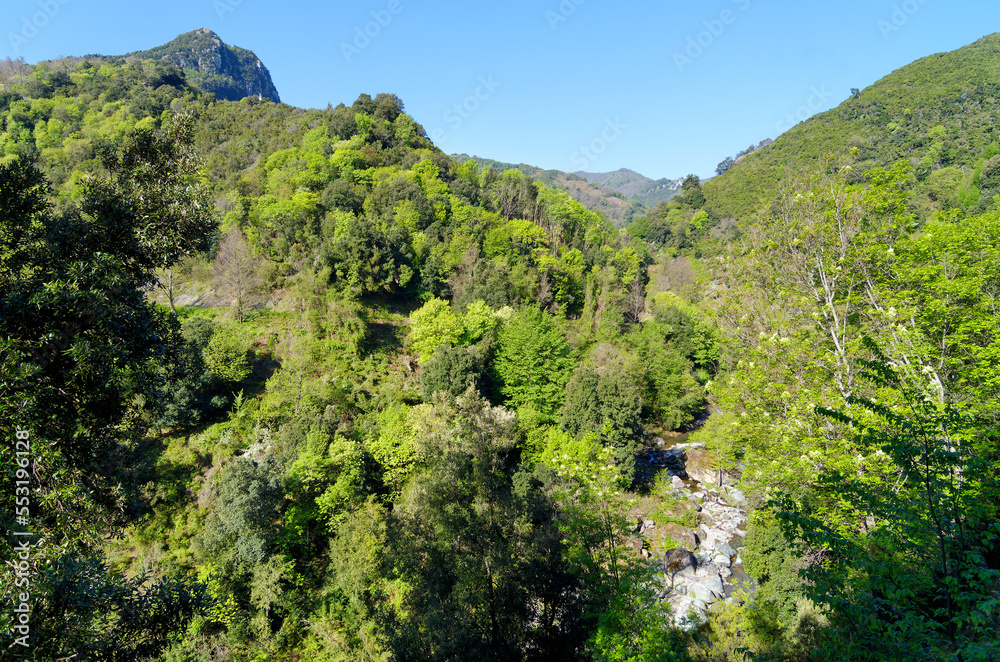 Petrignani stream in Costa verde mountain. Corsica island