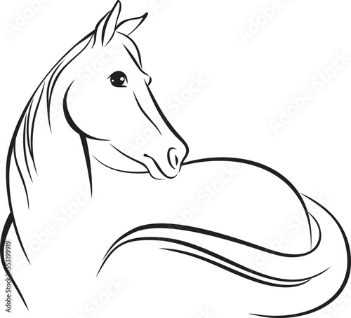 Simple line drawing of a horse