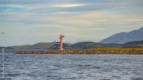 Panoramic view over a rookery of King Cormorants at Beagle Channel islands with a lighthouse at Punta Mackinlay in Patagonia, near Ushuaia, Argentina. photo