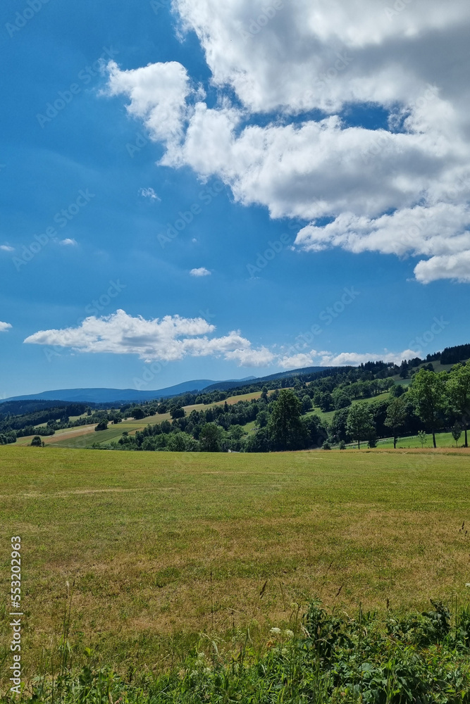 A sunny summer day in the mountains. View of the green meadow and sky.