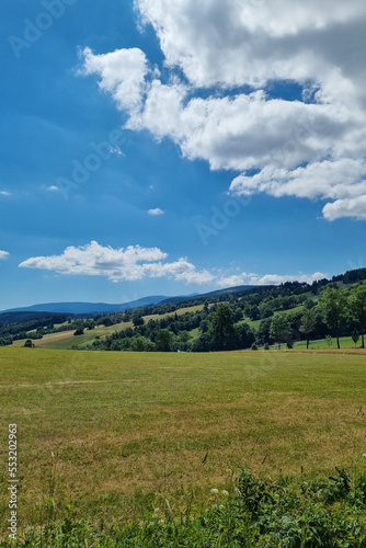 A sunny summer day in the mountains. View of the green meadow and sky. © Dzmitry