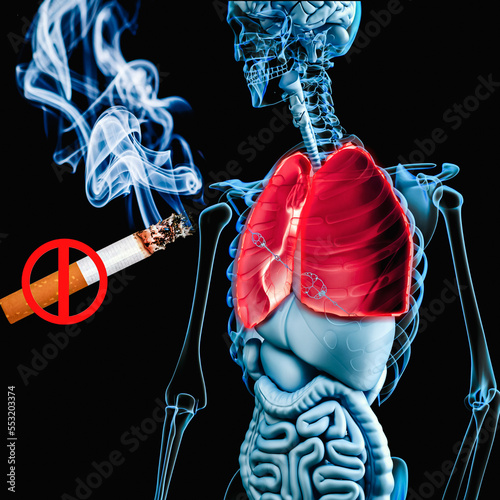 Smoking cause lung cancer, human anatomy  photo