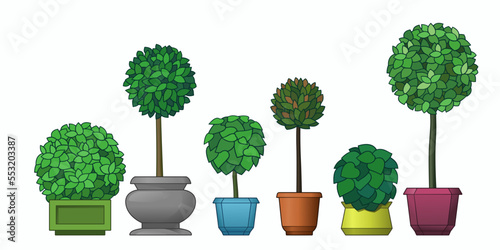 Vector illustration. Set of six plants in pots isolated on white background. Small trees and shrubs.