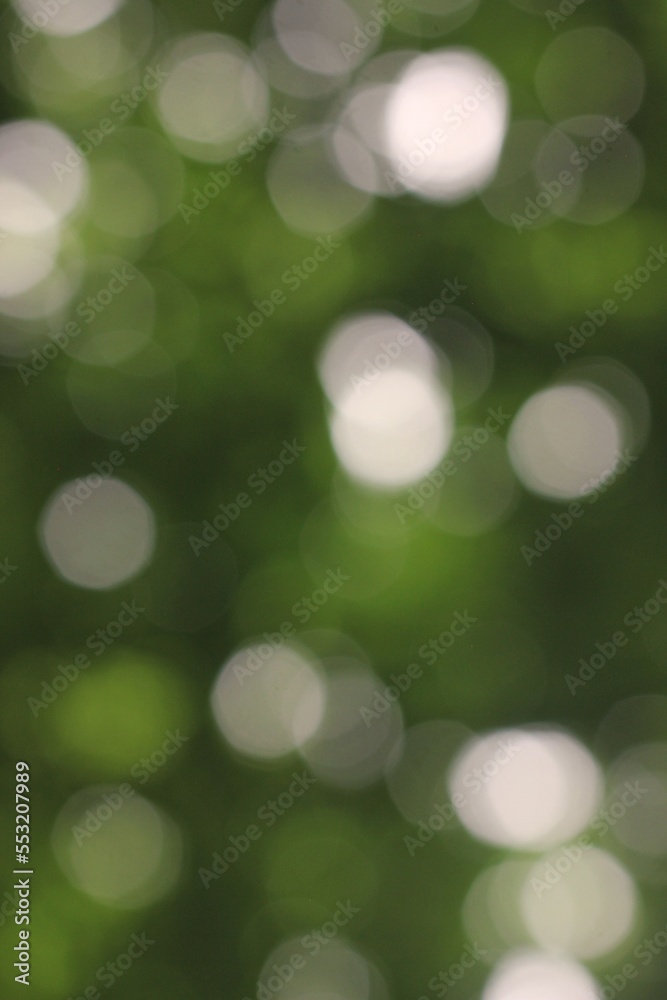 Obraz premium green bokeh abstract background