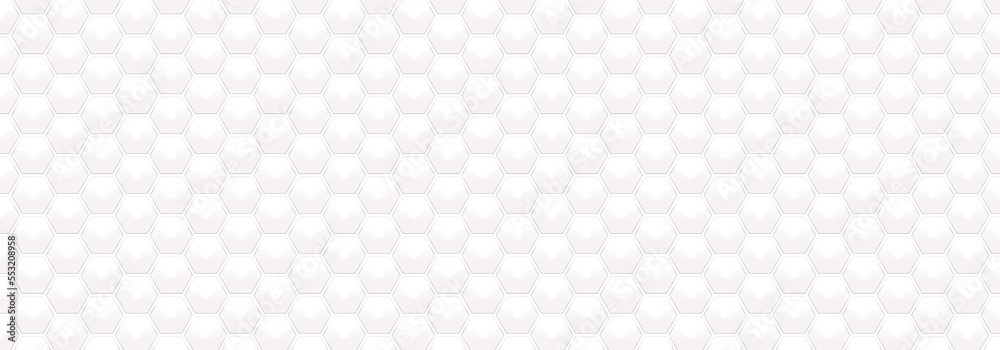 White Embossed Hexagon on Transparent Backgrounds. Abstract Crystal PNG Image. Abstract Honeycomb. Abstract Tortoiseshell