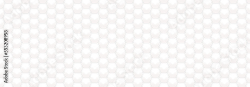 White Embossed Hexagon on Transparent Backgrounds. Abstract Crystal PNG Image. Abstract Honeycomb. Abstract Tortoiseshell