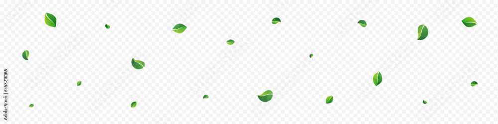Grassy Foliage Nature Vector Panoramic Grassy Foliage Nature Vector Panoramic