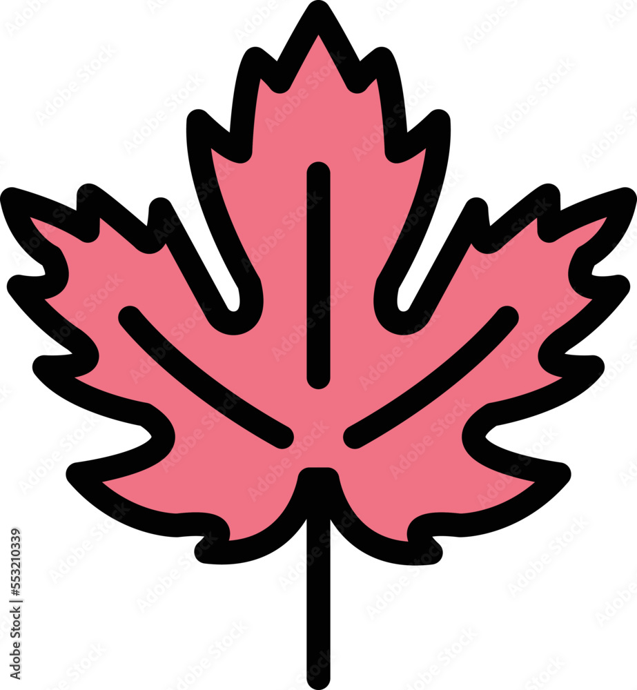 Obraz premium Maple leaf Vector Icon Design Illustration
