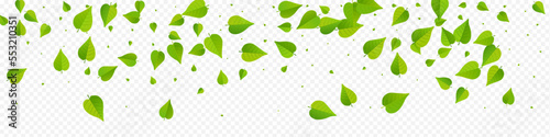 Green Leaves Blur Vector Panoramic Transparent