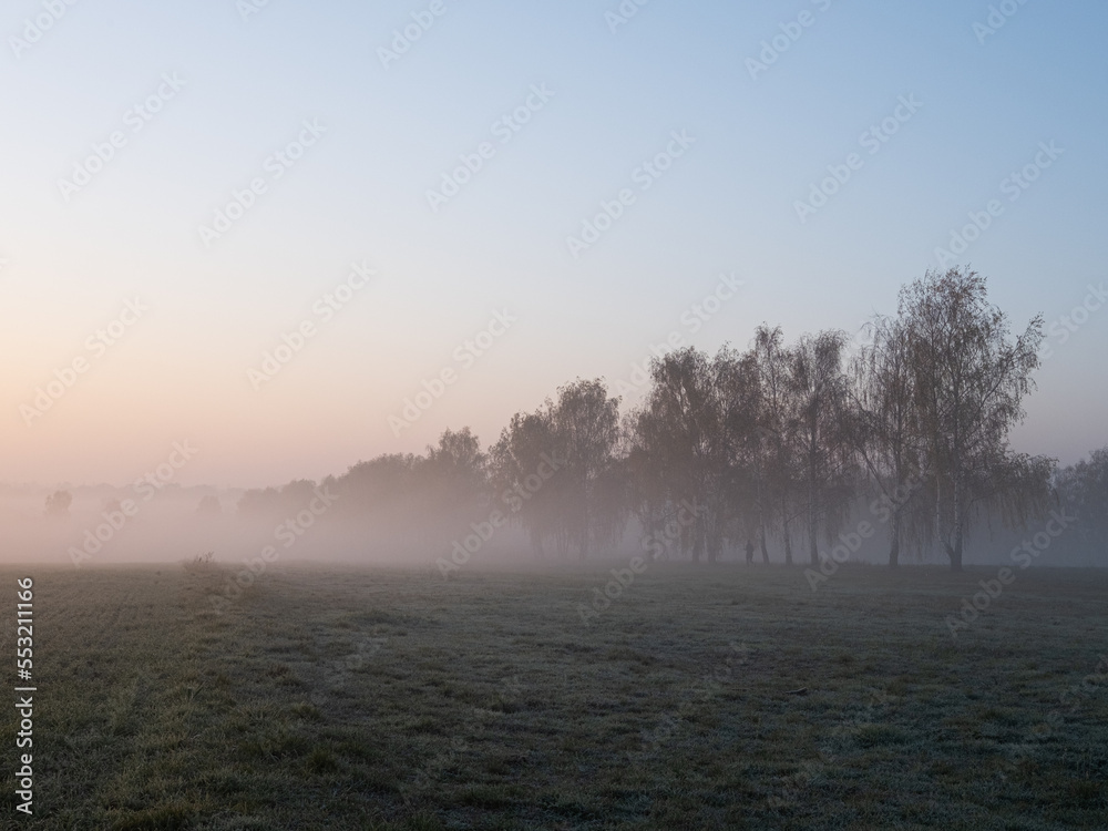 Fototapeta premium Berlin Brandenburg Landscape Landschaft Sonnenaufgang Nebel