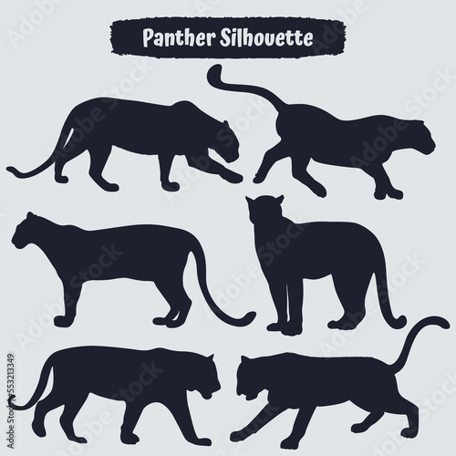 Collection of animal Panther in different positions