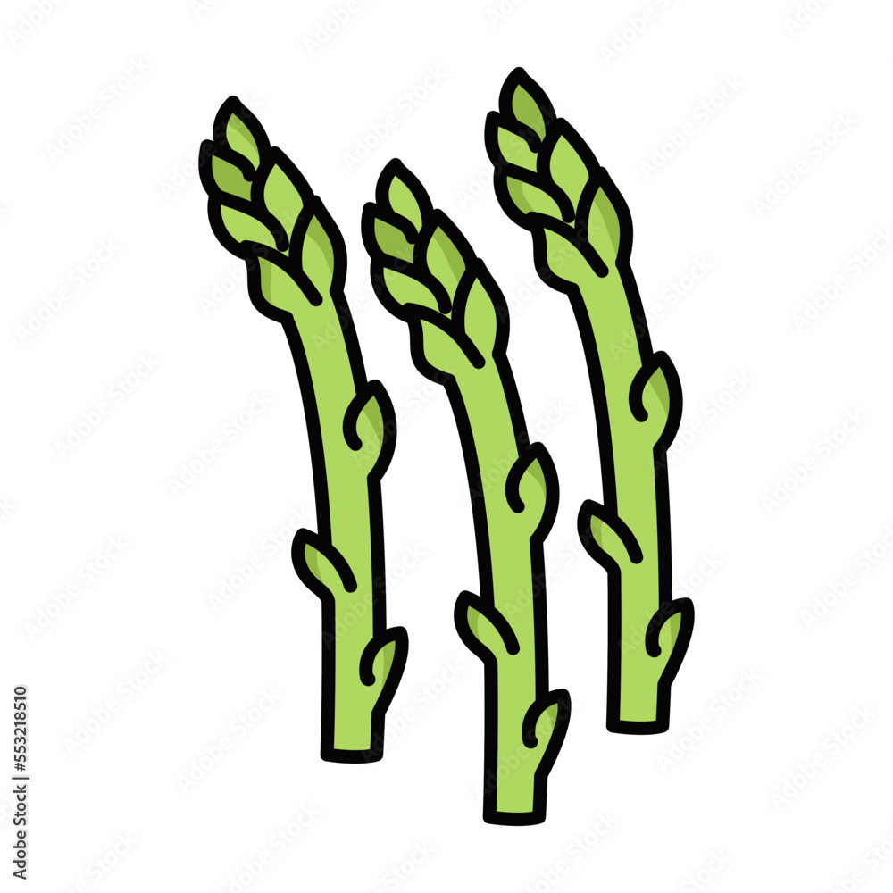 Asparagus Fresh Vegetables Vectors Illustration Asparagus Fresh Vegetables Vectors Illustration