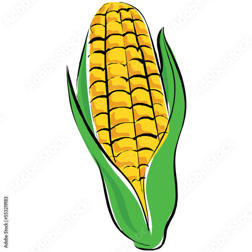 Corn 