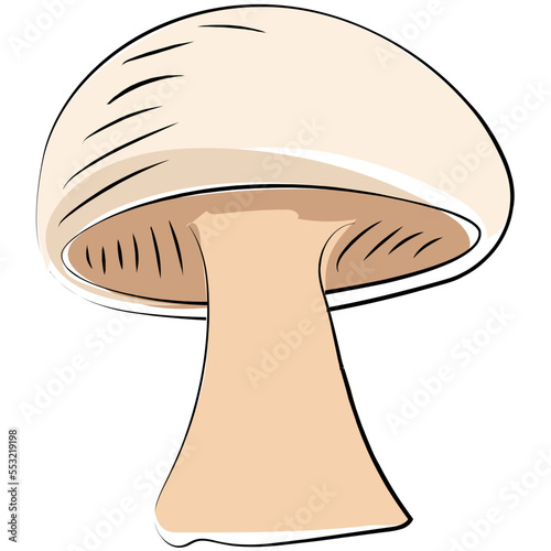 Mushroom 