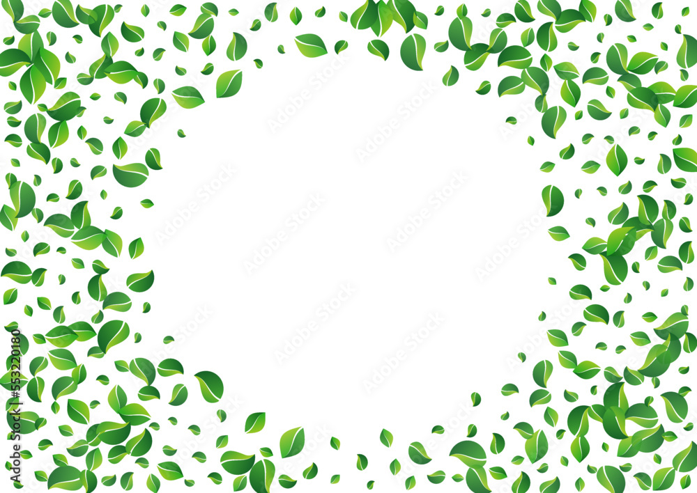 Swamp Foliage Motion Vector White Background. Fly Swamp Foliage Motion Vector White Background. Fly