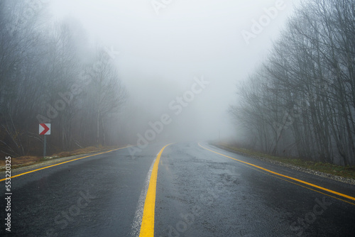 Foggy forest road © Kerim