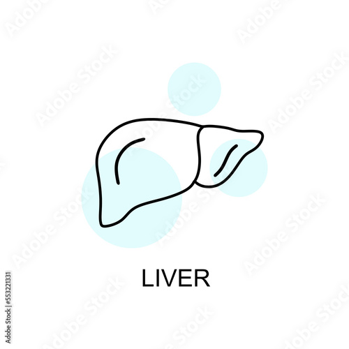 Liver Human linear icon. Human liver in linear style isolated. Icon The liver is an organ with many functions. vector eps10