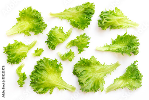 Photos Fresh green fillet iceberg leaves isolated on white background.