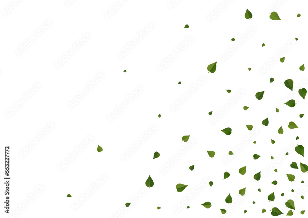 Swamp Leaves Falling Vector White Background Swamp Leaves Falling Vector White Background