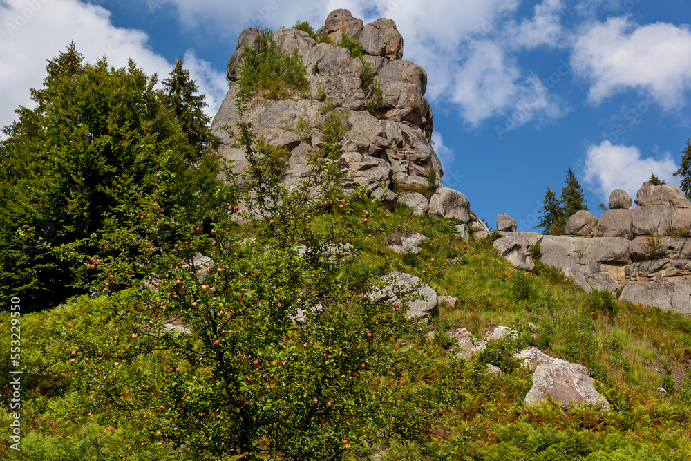remains of an old fortress in tustan