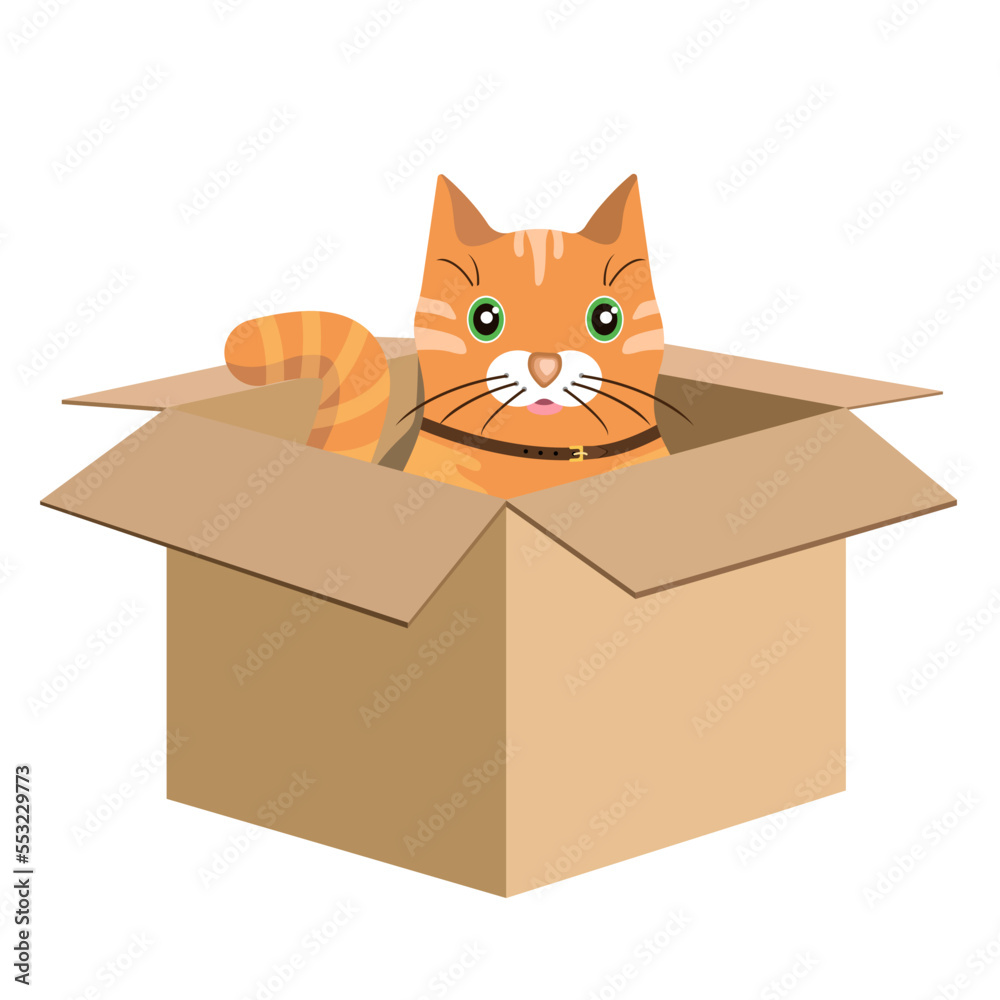 A red-haired, charming cat in a cardboard box, isolated on a white background.Vector illustration of a pet.