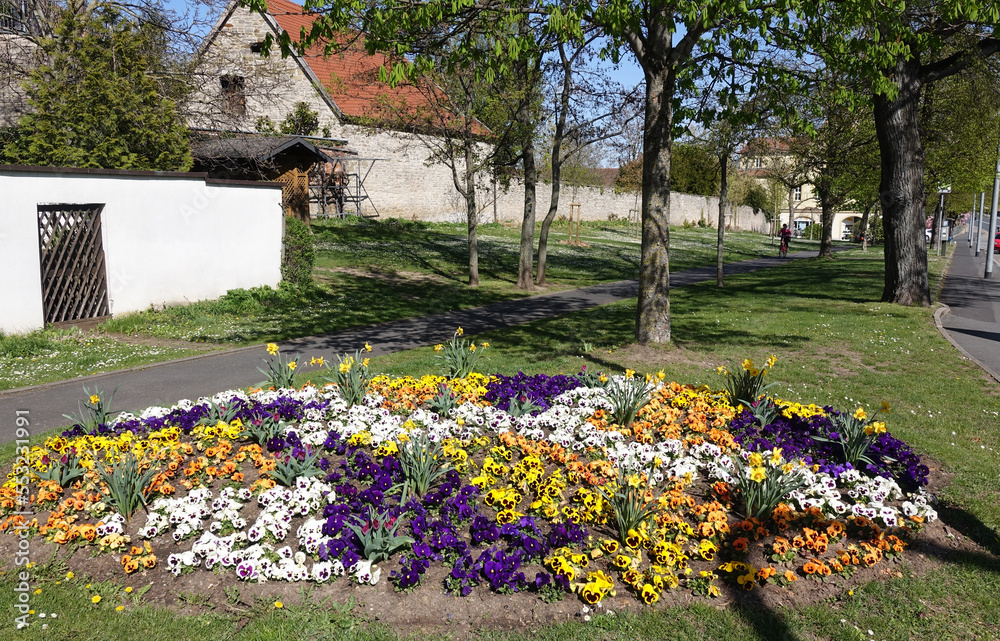 Obraz premium Blumenrabatte in Kitzingen