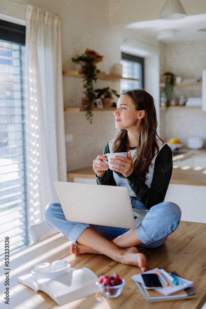 Young woman having homeoffice in her apartment. Young woman having homeoffice in her apartment.