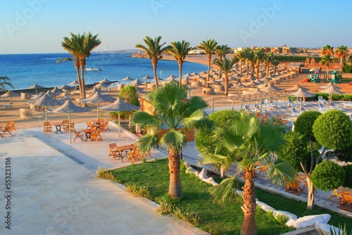 Fototapeta Naklejka Na Ścianę i Meble -  Idylic beach with palms and sun umbrelas, Red Sea, Egypt