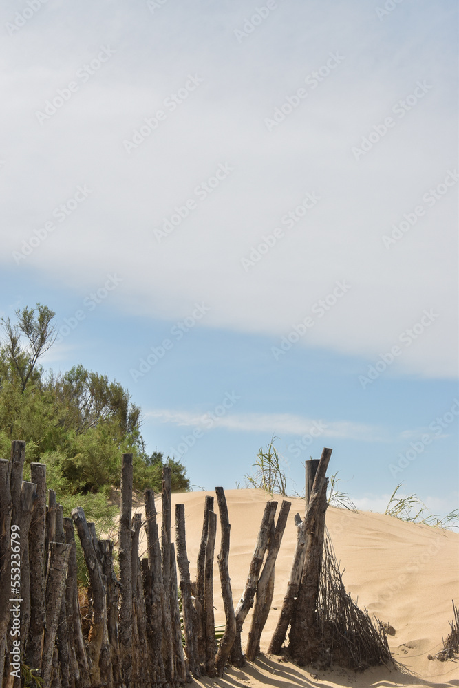 View of a beautiful beach landscape with dunes