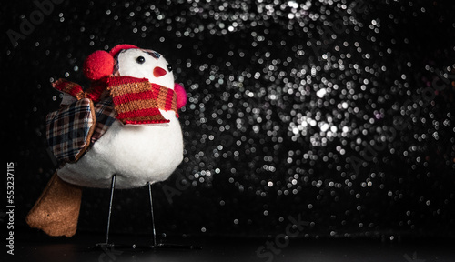 christmas birds gift