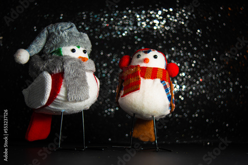 christmas birds gift