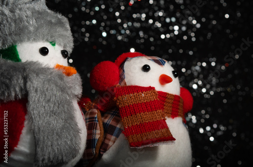 christmas birds gift
