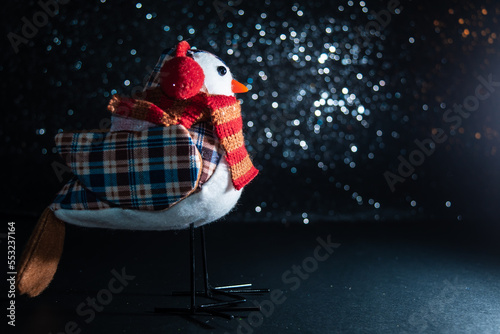 christmas birds gift