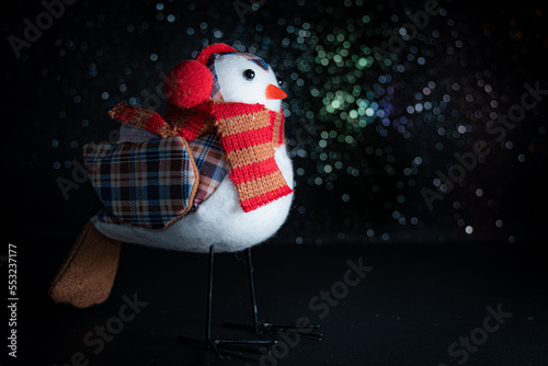 christmas birds gift