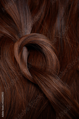 Brown hair tied in a knot on the background of the hair.