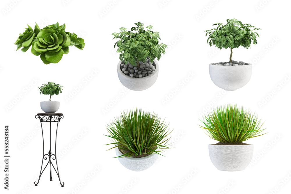 Plant 3d rendering Plant 3d rendering