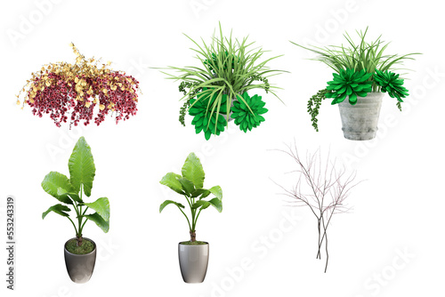 Plant 3d rendering