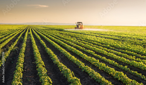 Fotografiet Tractor spraying soybean crops field