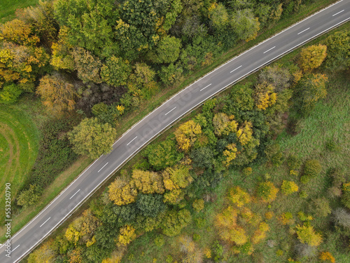 Aerial view of a paved country road between trees in autmn 