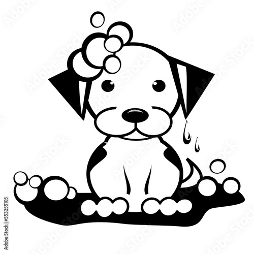 Puppy with bubbles in bath water puddle, cute